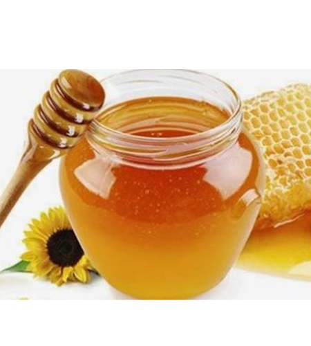 Untitled design (15)